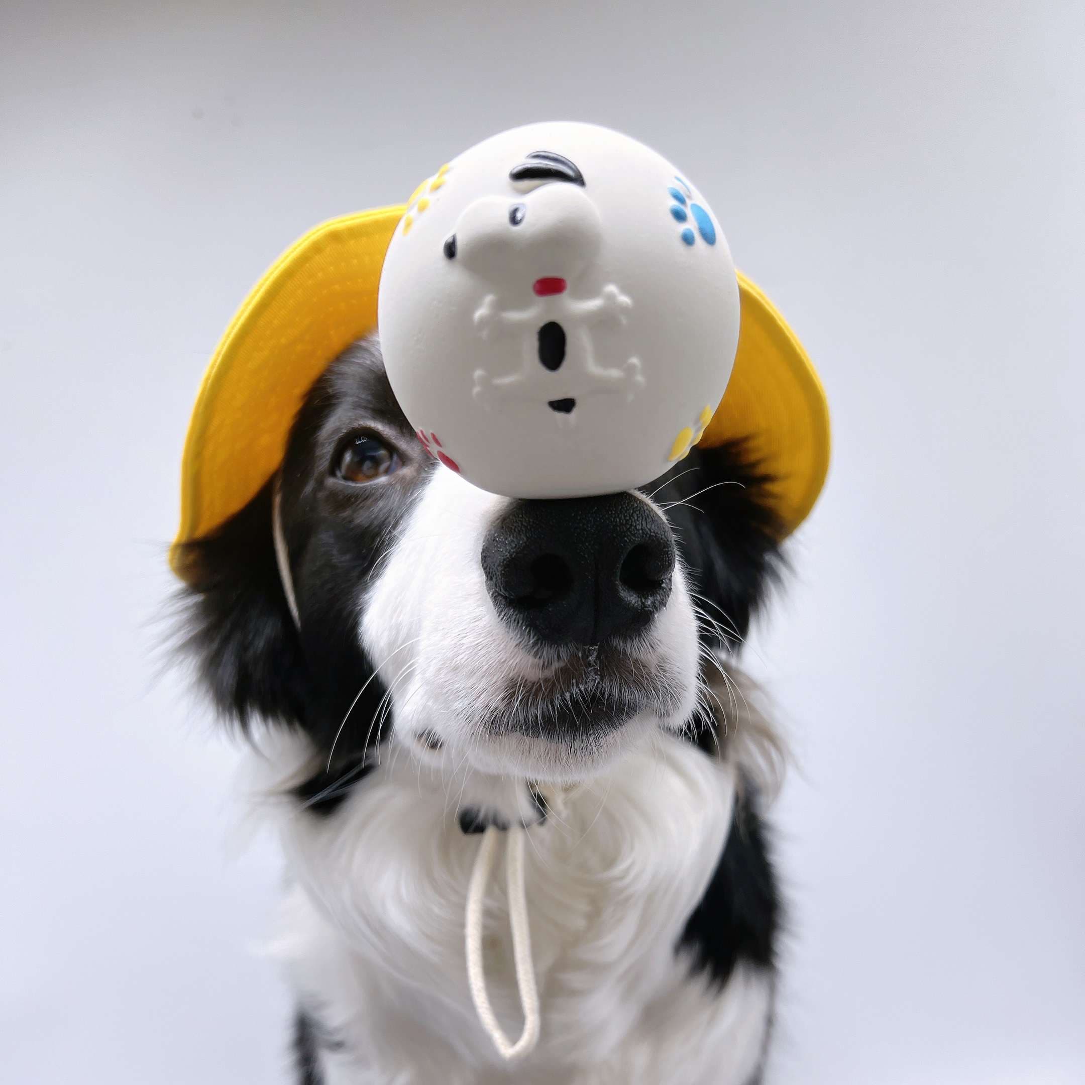 犬 おもちゃ ボール | わんちゃんのハッピーフルーツボール