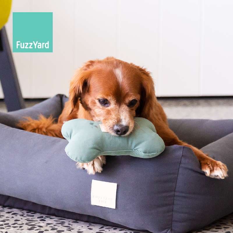 犬 おもちゃ ぬいぐるみ | もふもふペット専用ぬいぐるみトイ