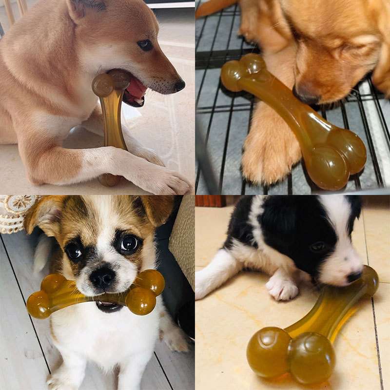 犬 おもちゃ 骨 | わんちゃん大喜び 双頭ゼリー骨