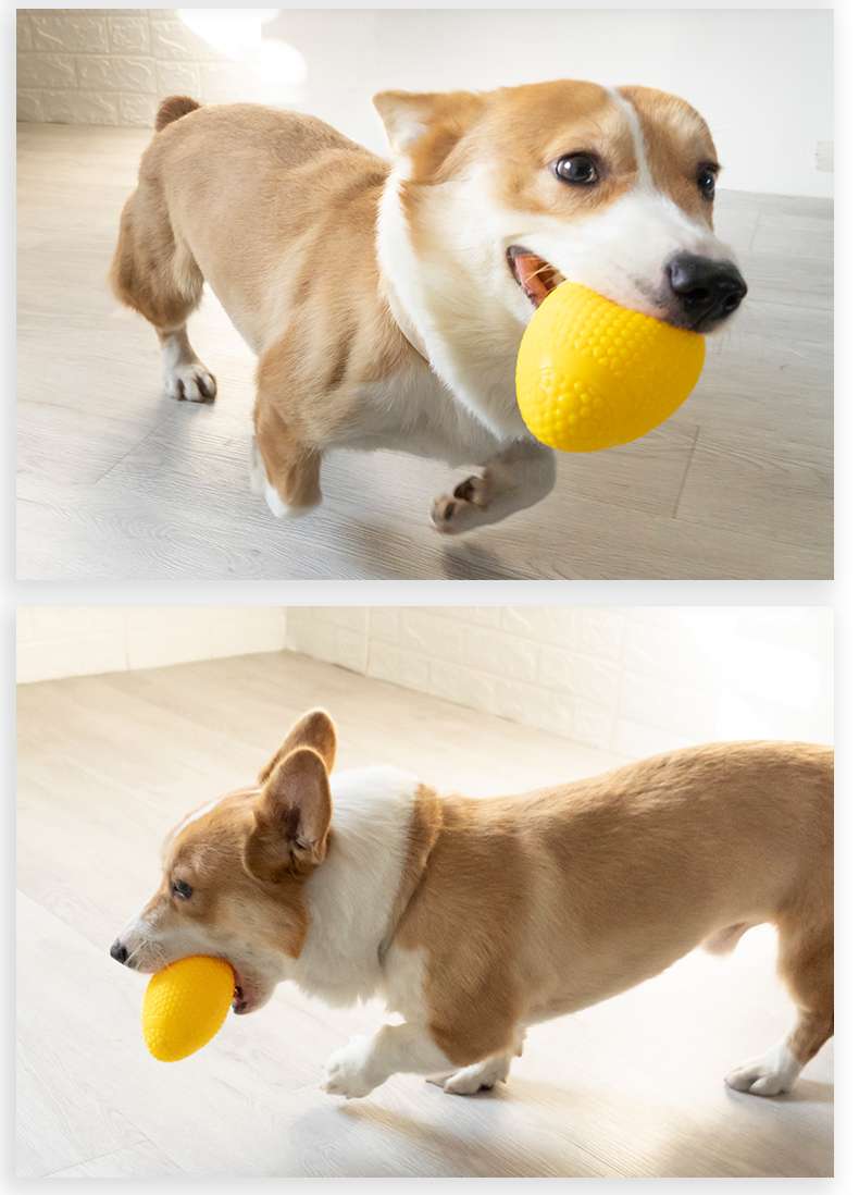 犬 おもちゃ ボール | わんちゃん大好き！ 噛んで遊べる発声ボール