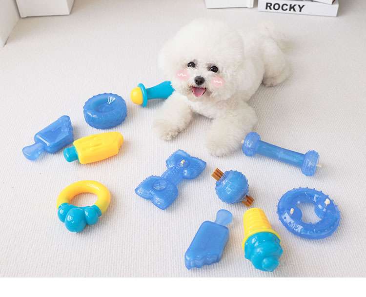 犬 おもちゃ 知育 | わんちゃんの歯固めアイスキャンディー
