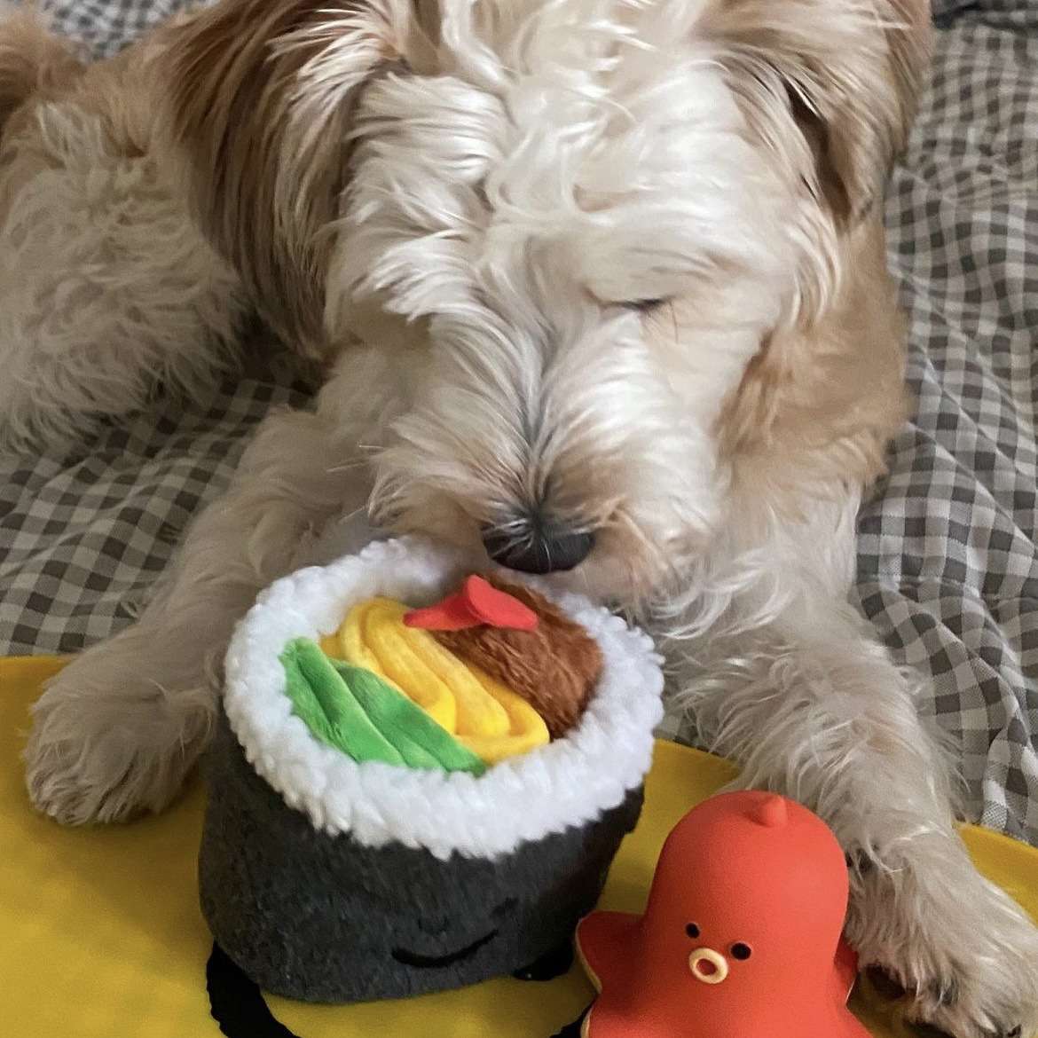 犬 おもちゃ 知育 | わんちゃんのおすし遊び知育トイ