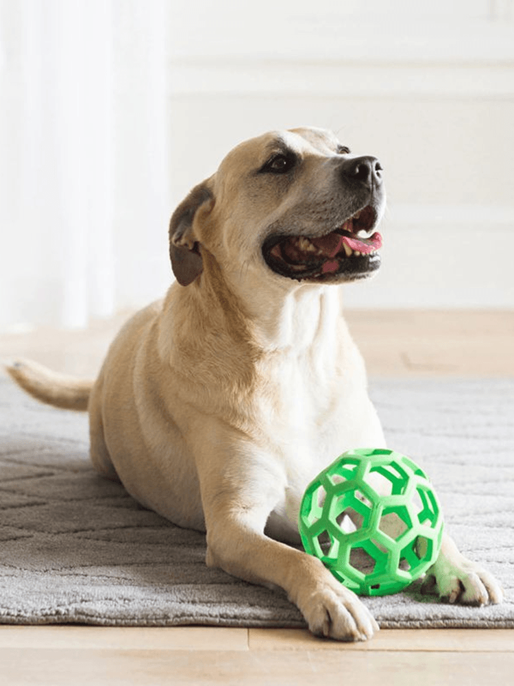 犬のおもちゃ 犬のおもちゃ 六角網目ボール