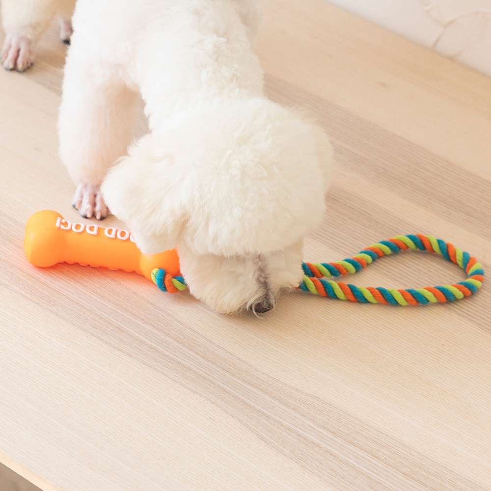 犬 おもちゃ ロープ | 愛犬とのふれあい遊び棒