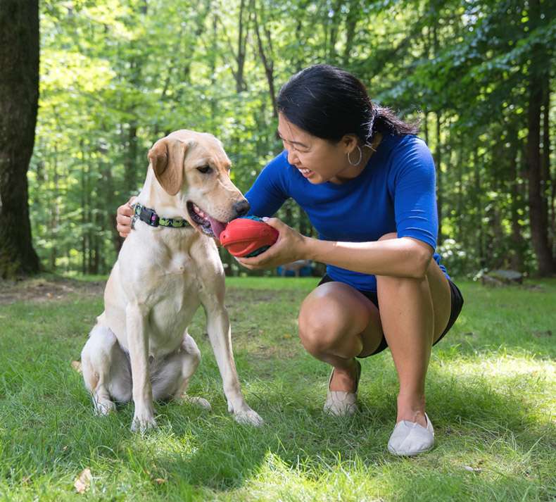 犬 おもちゃ ボール | 噛みごたえ抜群！飛びつき倒せボール