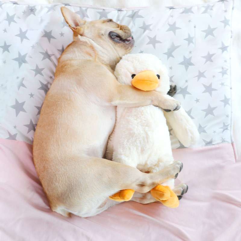 犬 おもちゃ ぬいぐるみ | わんちゃんの癒しパートナー アヒルのぬいぐるみ