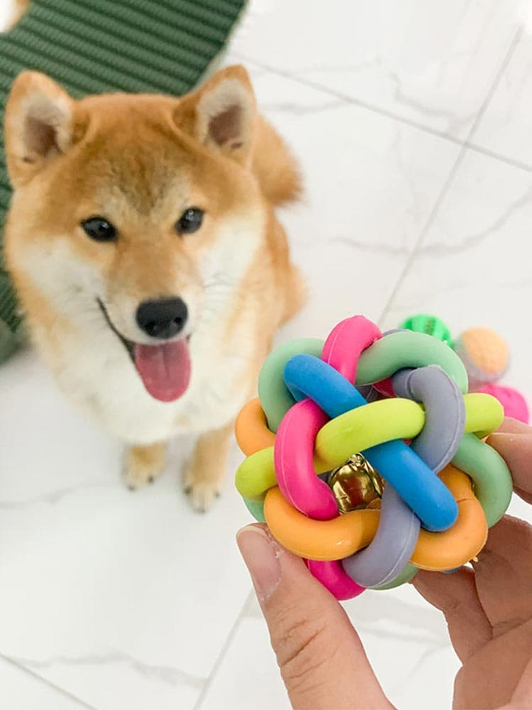 犬のおもちゃ 多種遊び方わんちゃん噛み心地ボールセット