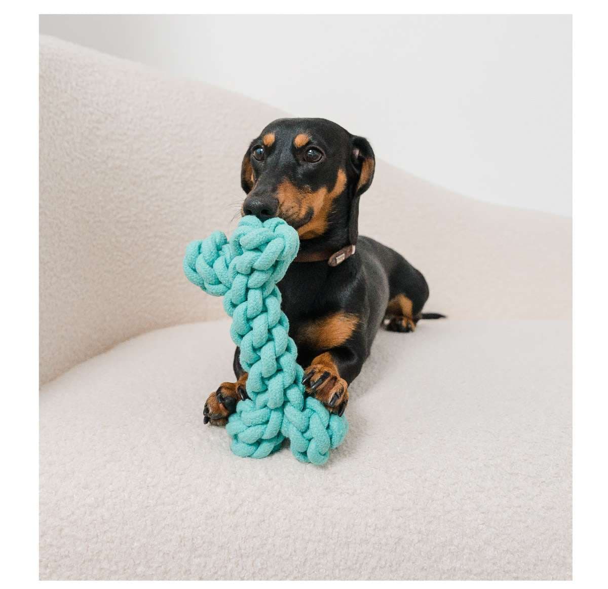 犬 おもちゃ ロープ | 歯磨き効果のある犬用結び目ロープ