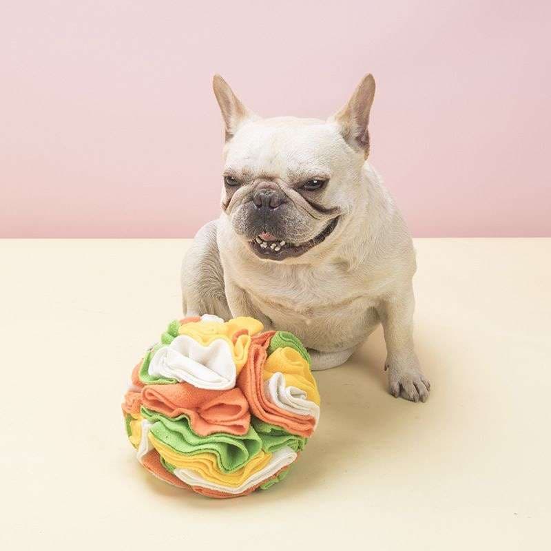 犬 おもちゃ 知育 | わんちゃんの脳トレボール