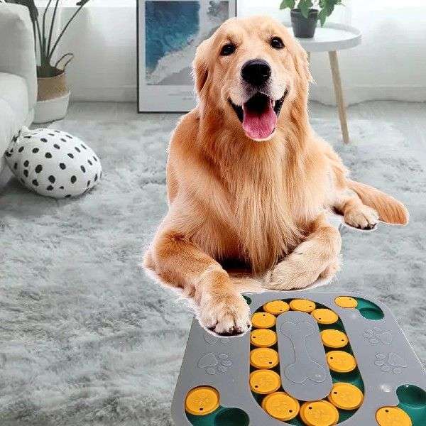 犬 おもちゃ 知育 | 犬用パズルおやつ迷路ゲーム