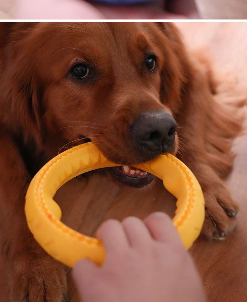 犬 おもちゃ 歯磨き | わんちゃんの歯クリーンリング