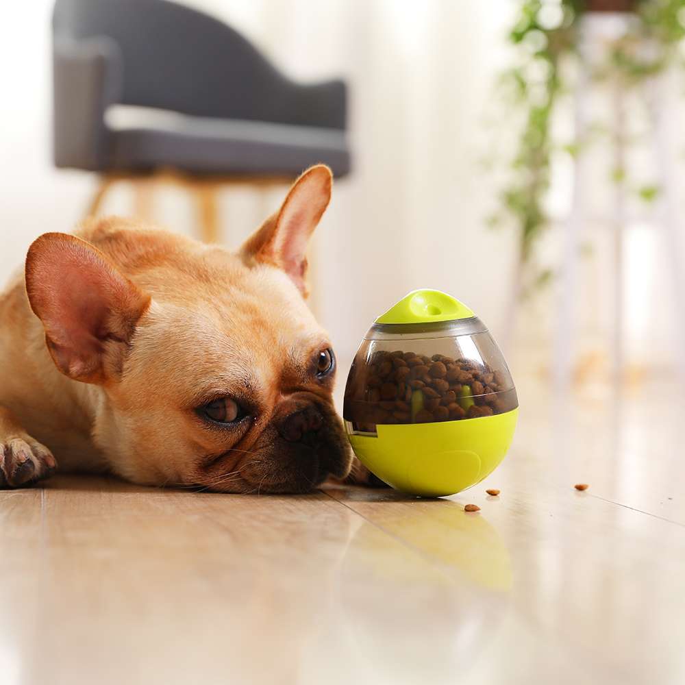 犬 おもちゃ 知育 | わんちゃんの知恵袋 おやつディスペンサー
