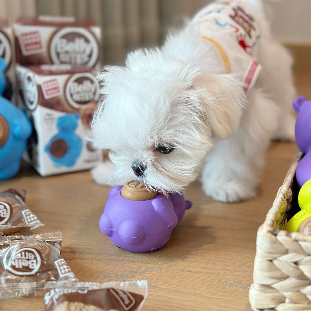 犬 おもちゃ 歯磨き | わんちゃんの歯磨きバディ