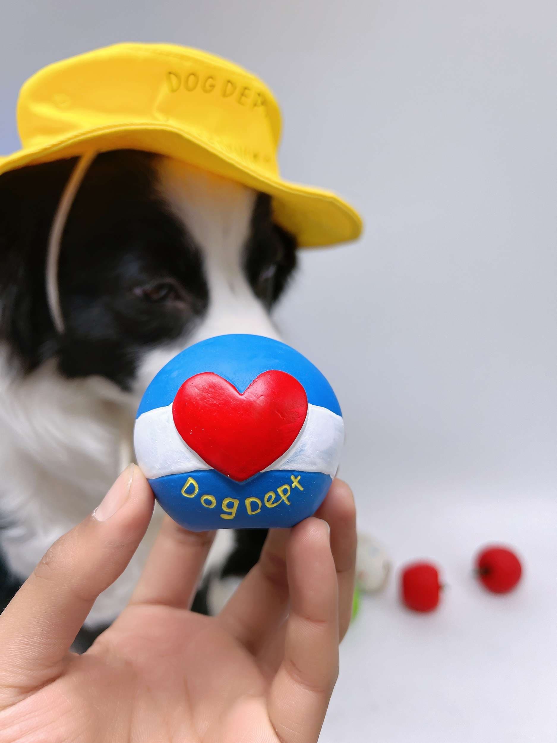 犬 おもちゃ ボール | わんちゃんのハッピーフルーツボール