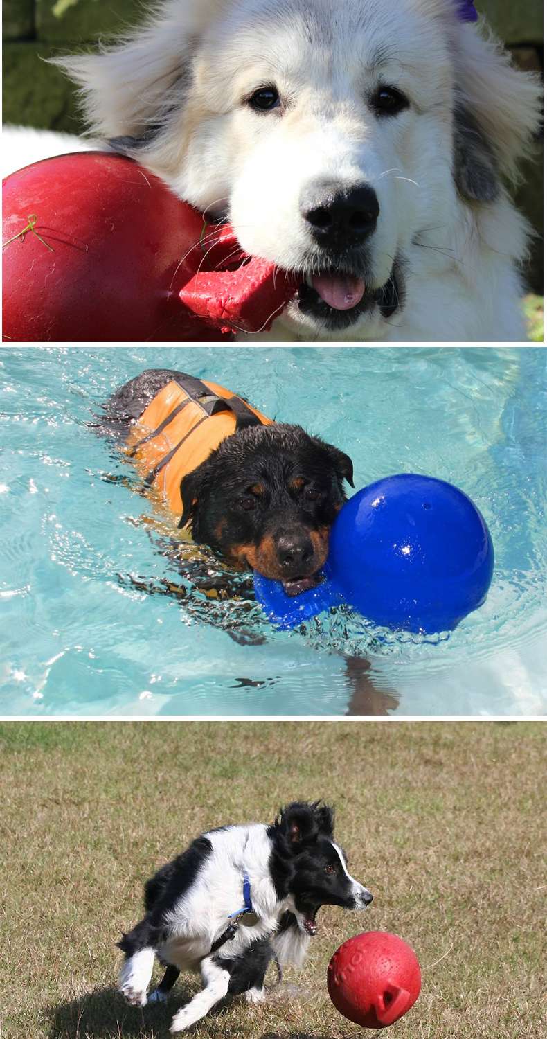 犬 おもちゃ ボール | 大型犬用 タフグリップ ジョリーボール