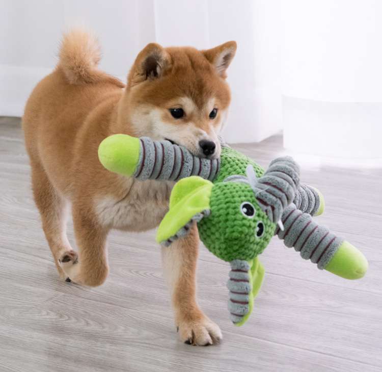 犬用 おもちゃ ぬいぐるみ | もぐもぐ遊べる長四肢のぬいぐるみ