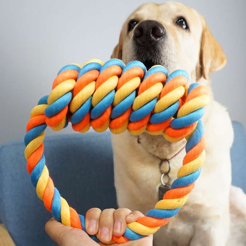 犬 おもちゃ ロープ | わんちゃんの歯磨きおもちゃ