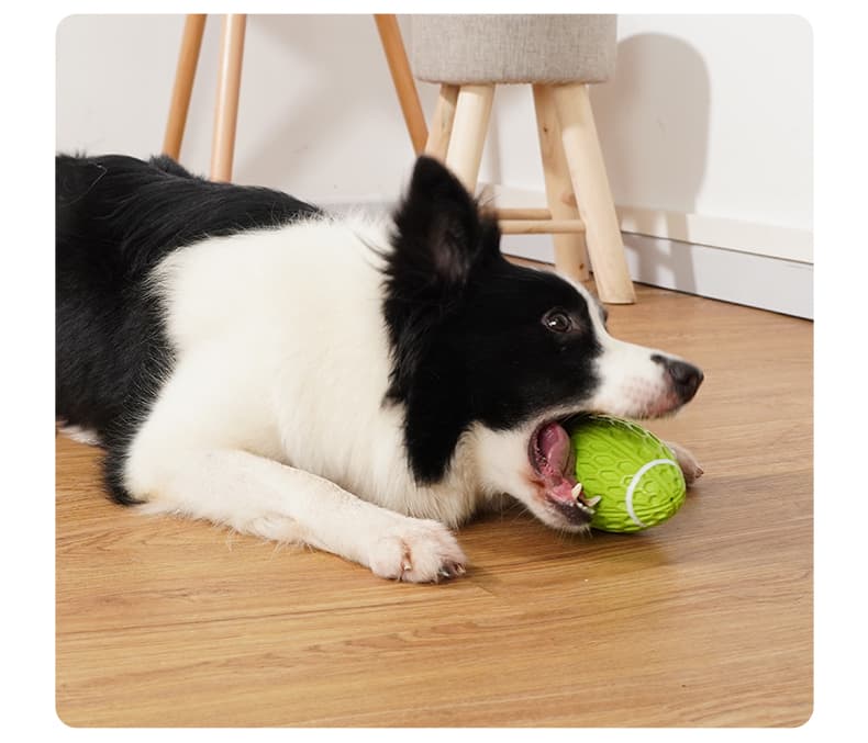 犬のおもちゃ 犬のおもちゃ 歯みがきラバーボール