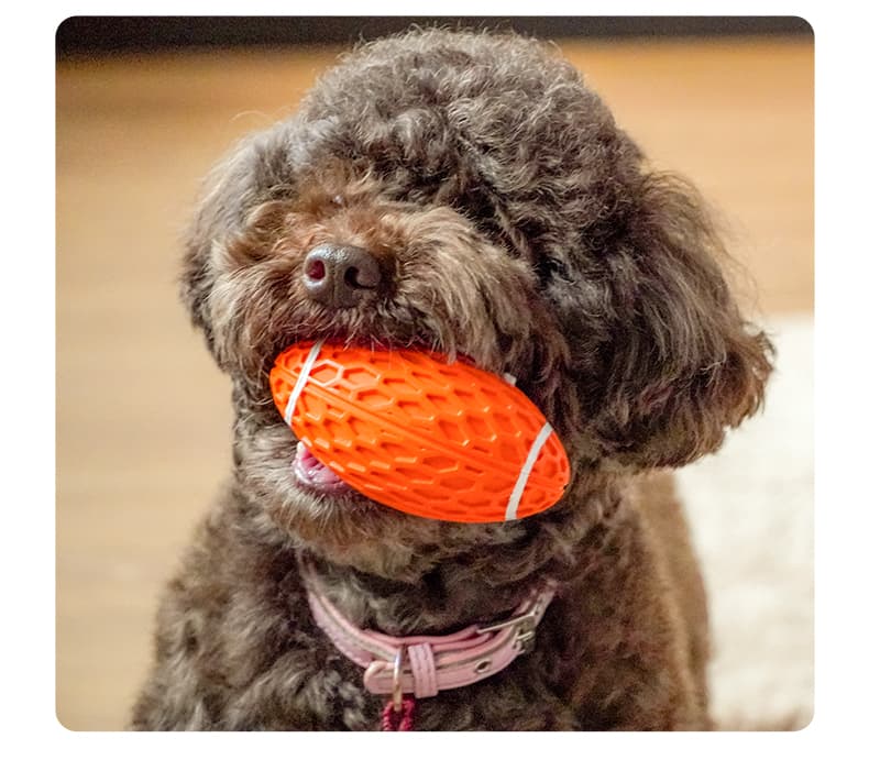 犬のおもちゃ 犬のおもちゃ 歯みがきラバーボール