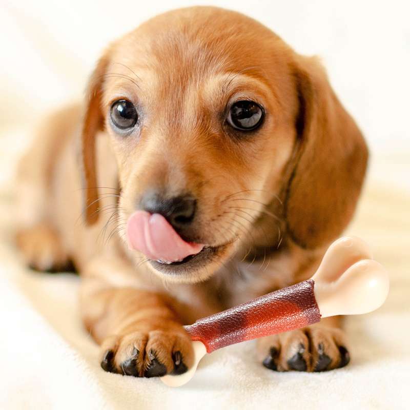 犬 おもちゃ 骨 | わんちゃんの歯ごしごしガム