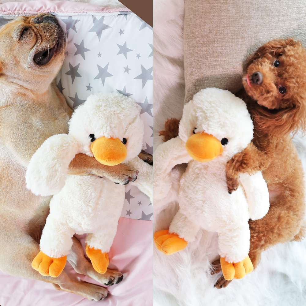 犬 おもちゃ ぬいぐるみ | わんちゃんの癒しパートナー アヒルさんぬいぐるみ