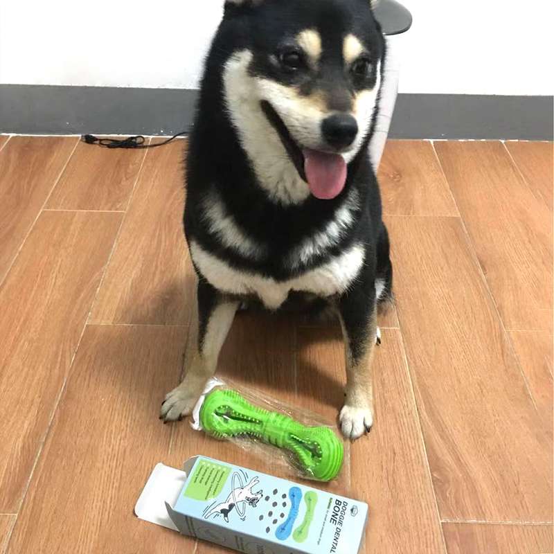 犬 おもちゃ 歯磨き | わんちゃんの歯キレイボーン