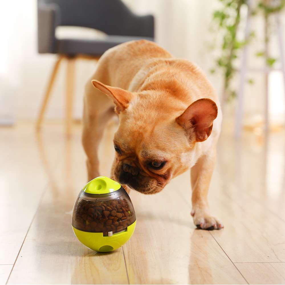 犬 おもちゃ 知育 | わんちゃんの知恵袋 おやつディスペンサー