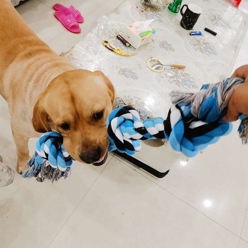 犬 おもちゃ ロープ | わんちゃん大喜び！結び目付き丈夫なロープ