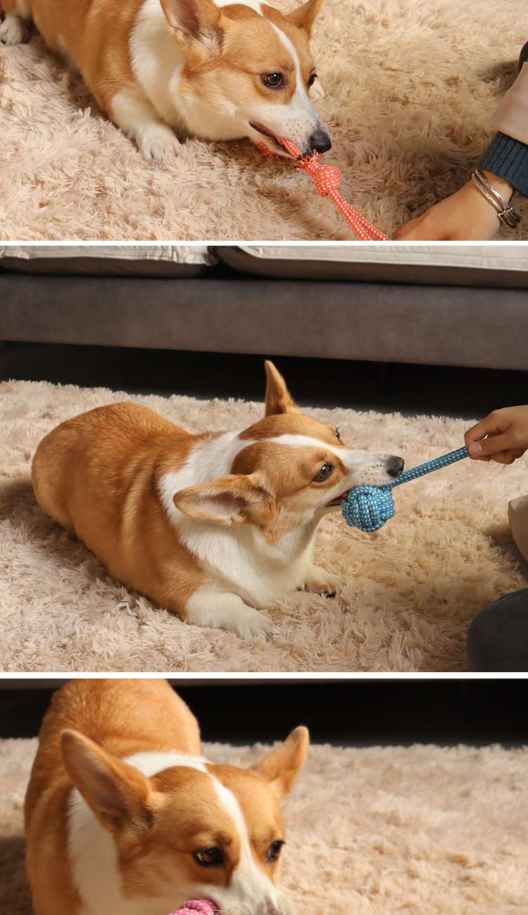 犬 おもちゃ ロープ | 愛犬用多機能結び目ロープおもちゃ