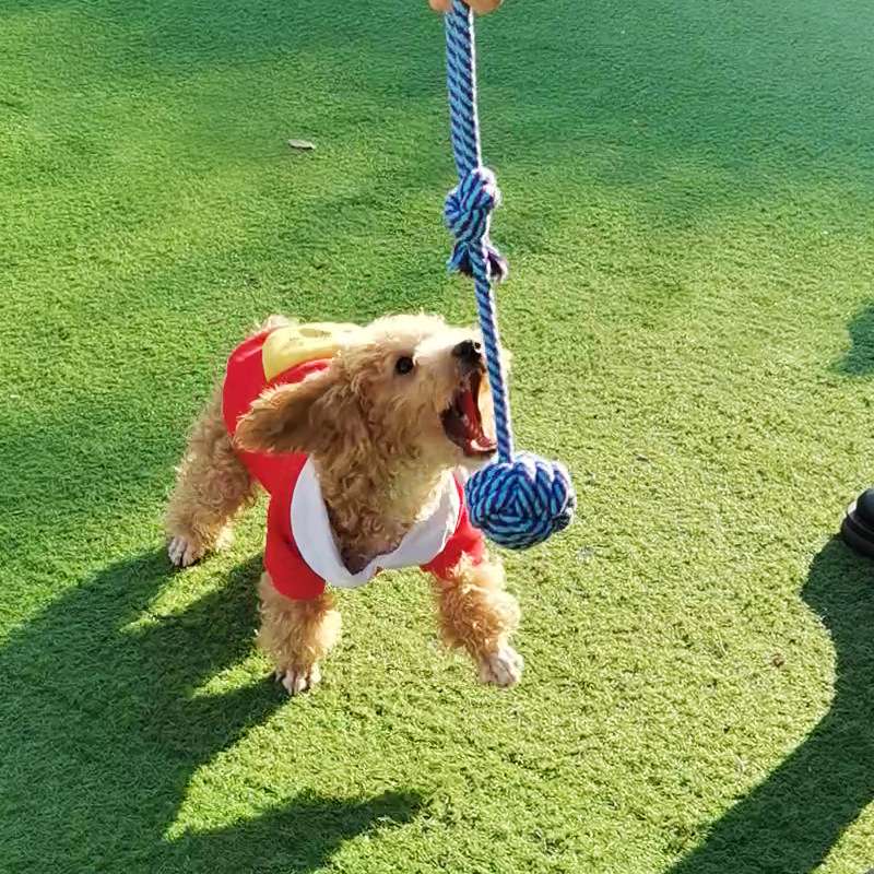 犬 おもちゃ ロープ | わんちゃん大喜びロープトイ