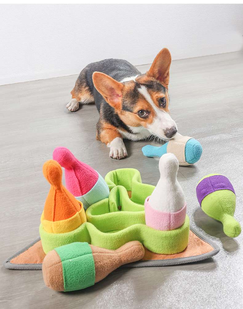 犬 おもちゃ 知育 | わんちゃんの色彩パズルボウリング