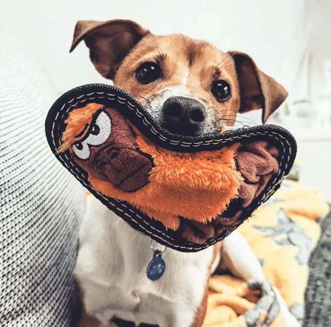 犬 おもちゃ ぬいぐるみ | 耐久性抜群の鳴り続けるぬいぐるみ