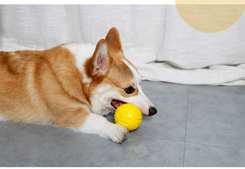 犬 おもちゃ 歯磨き | わんちゃんの歯磨きトレーニングおもちゃ