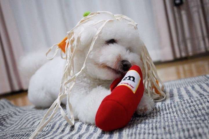 犬 おもちゃ | わんちゃん大喜びヌードル風おもちゃ