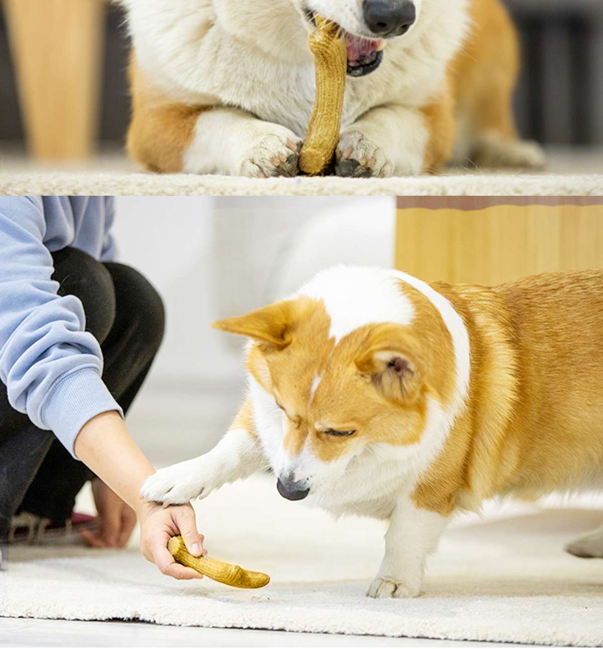 犬 おもちゃ 骨 | 愛犬用天然木の骨型歯磨きおもちゃ