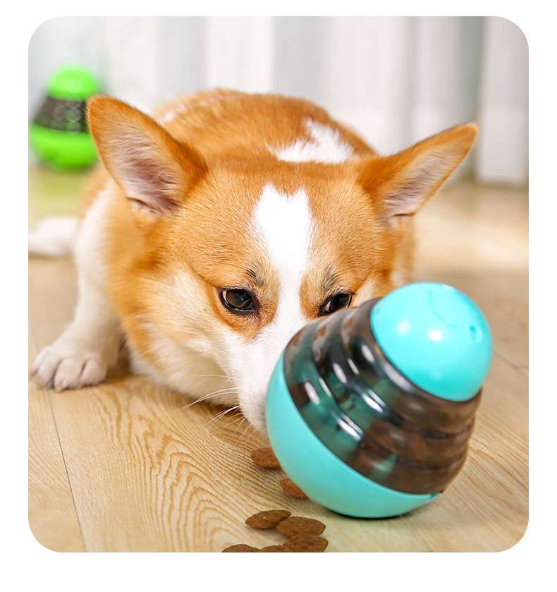 犬 おもちゃ 知育 | 転がるおやつボール 知育玩具