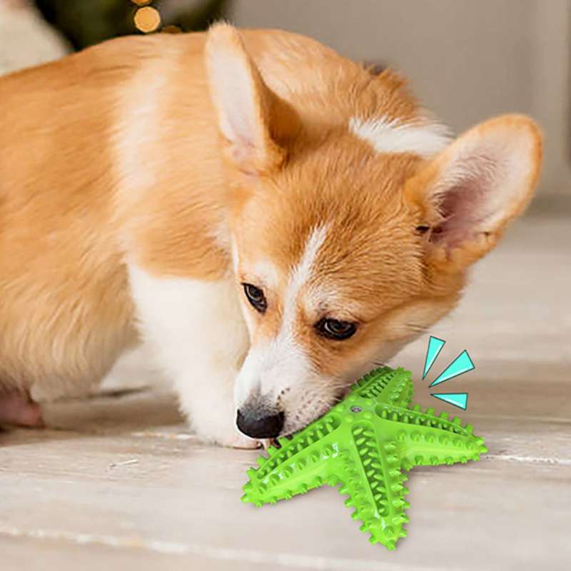 犬 おもちゃ 歯磨き | 歯磨き効果抜群の星型おもちゃ