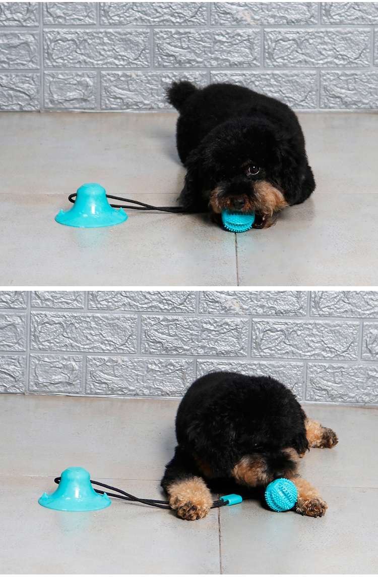 犬 おもちゃ | 吸盤付き犬用ターグトイ