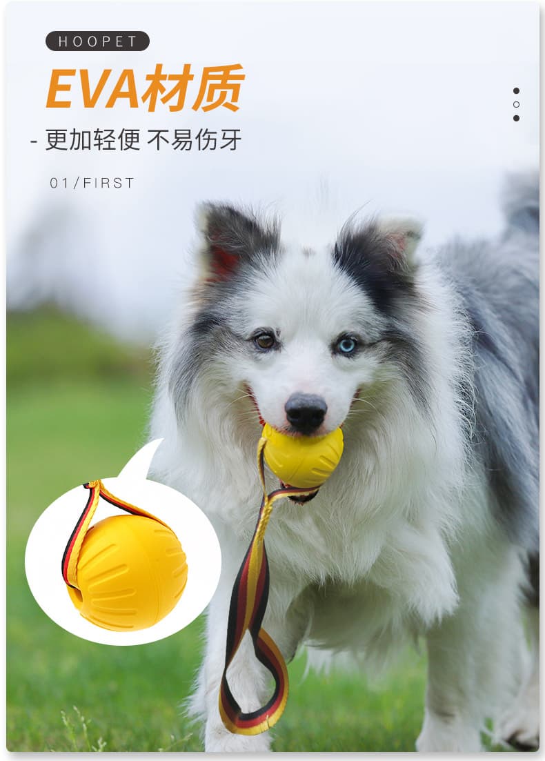 犬のおもちゃ わんぱく遊びマルチロープセット