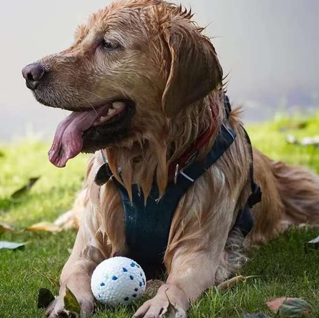 犬 おもちゃ ボール | 噛み応え抜群 愛犬用ポップコーンボール