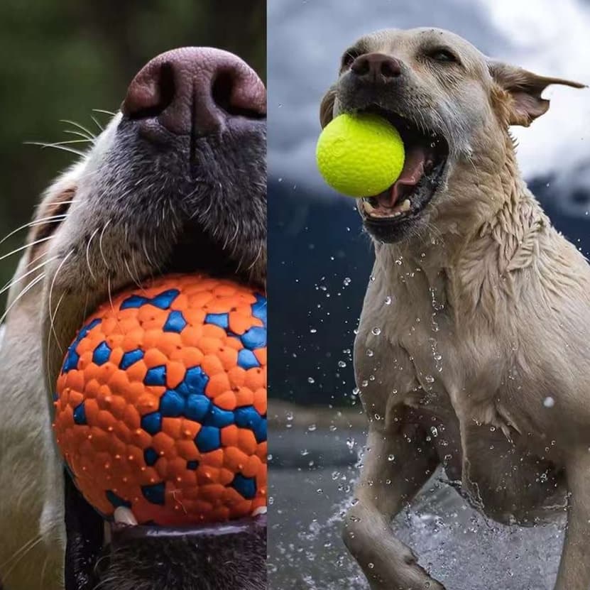 犬 おもちゃ ボール | 噛み応え抜群 愛犬用ポップコーンボール