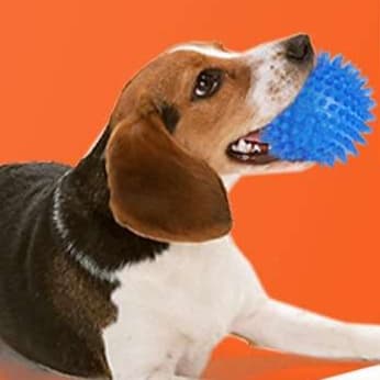 犬 おもちゃ 歯磨き | 歯磨き用スパイキーボール