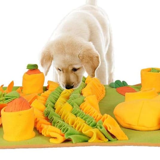犬 おもちゃ 知育 | 犬用嗅覚活性化マット