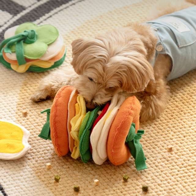 犬 おもちゃ 知育 | わんちゃんのごちそうパズル