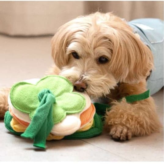 犬 おもちゃ 知育 | わんちゃんのごちそうパズル