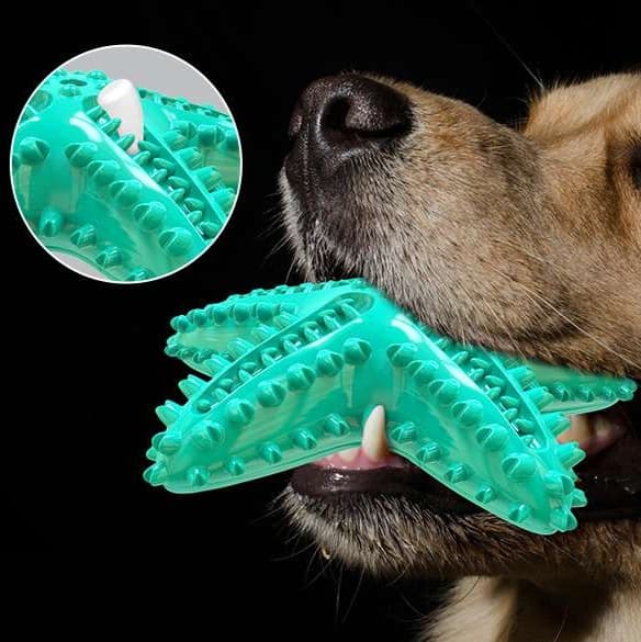 犬 おもちゃ 歯磨き | 歯磨き効果抜群の星型おもちゃ
