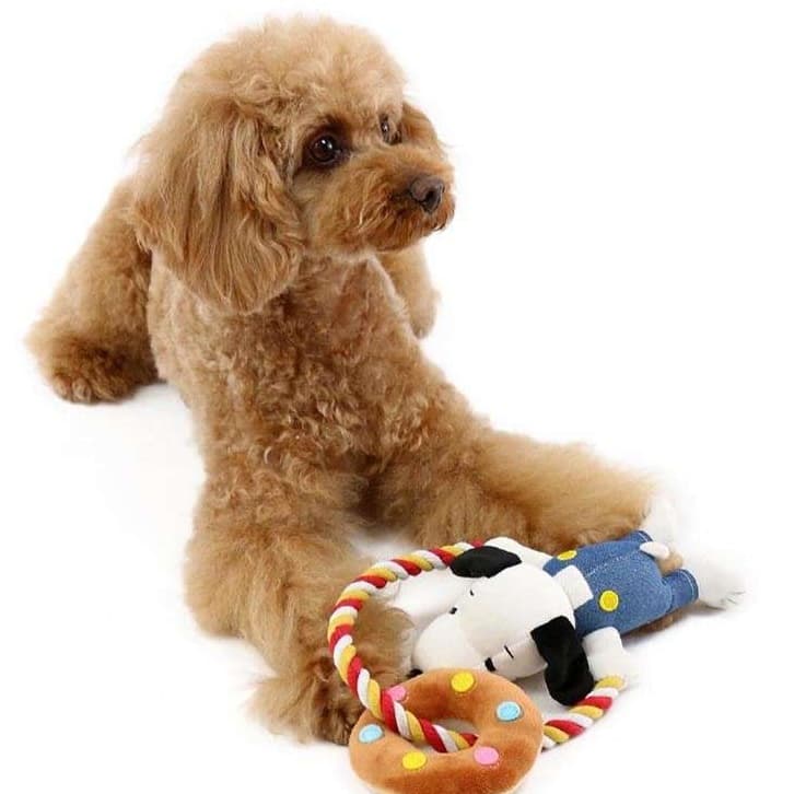 犬 おもちゃ ロープ | スヌーピーのドーナツ型ロープおもちゃ