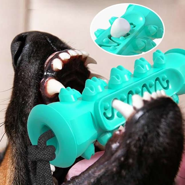 犬 おもちゃ 歯磨き | わんちゃんの歯磨きおもちゃセット