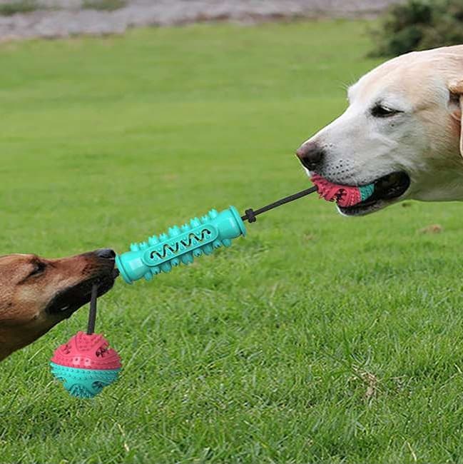 犬 おもちゃ 歯磨き | わんちゃんの歯磨きおもちゃセット