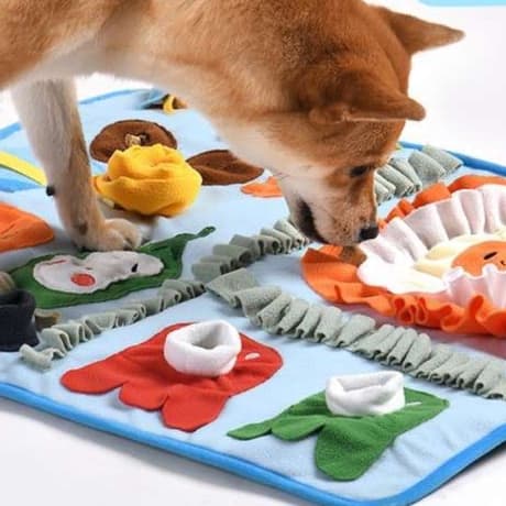 犬 おもちゃ 知育 | 室内で楽しむ犬用嗅覚トレーニングマット